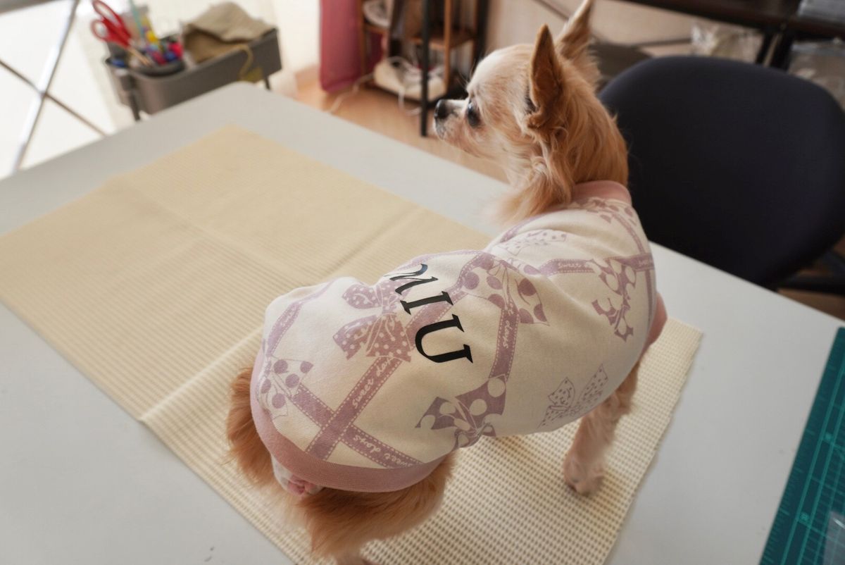 愛犬に世界でたった一つの手作りお洋服をプレゼント！犬専門のお洋服